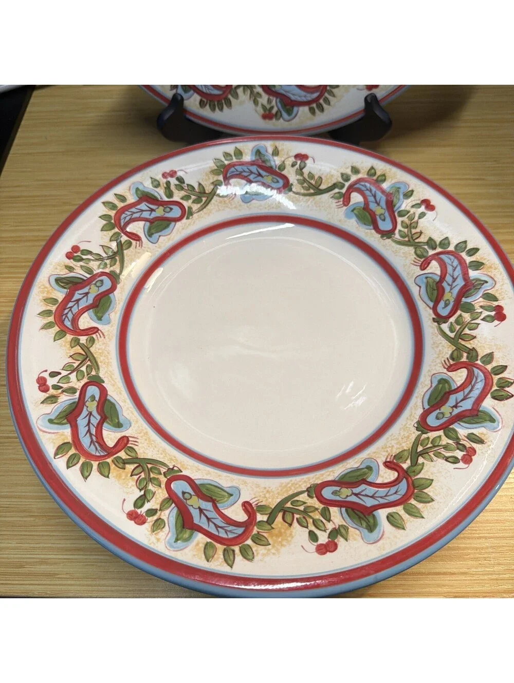 VTG 6 Pottery Barn Dinner Plates Bowl Sausalito Paisley 12.25” Pasta Bowls *